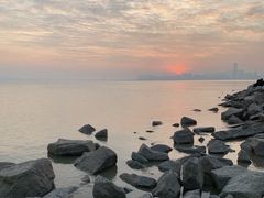 -深圳湾公园(南山区)