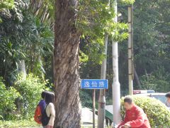 -中山大学学者灵芝(园南路店)