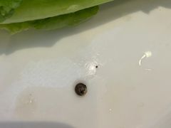 -皇城老妈·大连海鲜火锅(港湾店)