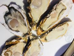 -千岛蚝高压锅生蚝·人参火锅(白云万达店)