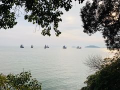 -同庆楼(滨湖万达广场店)