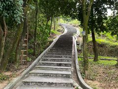 -火炉山森林公园