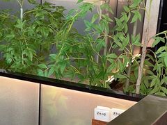 -黑牛の店·黑金店(沈阳万象城店)