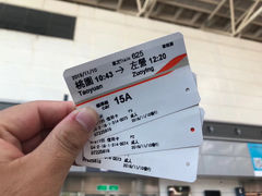-文府路口(Taiwan High Speed Rail Zuoying Station)