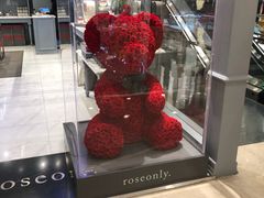 -ROSEONLY诺誓(国际广场购物中心店)