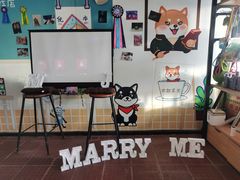 -柴犬高等学院·狗咖·柴犬售卖·宠物训练