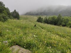 -白草畔自然风景区