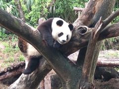 -宁波野生动物园