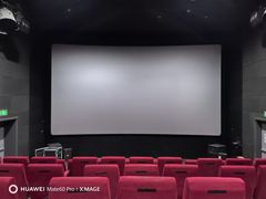 -SFC上影百联影城(大上海4DX店)