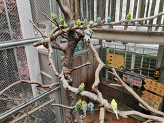 -正佳雨林生态植物园