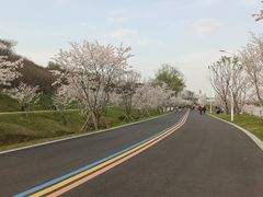 -羊山湖公园