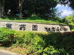 -东莞植物园