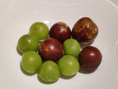 -宝轩渔府·海鲜(水上店)