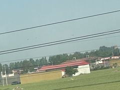 -秦府大虾(邢台中北世纪城店)