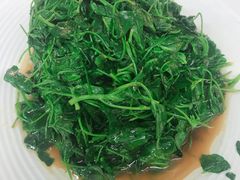 -森谷美食公园(杨行店)