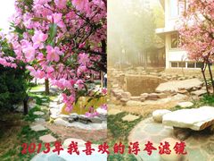 -北京四中(道元校区)