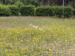 -哈尔滨师范大学(松北校区)