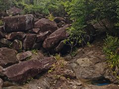 -广州白江湖森林公园