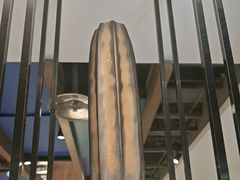 -大鸭梨烤鸭(枣园店)