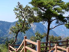 -沂蒙山旅游区云蒙景区(蒙山国家森林公园)