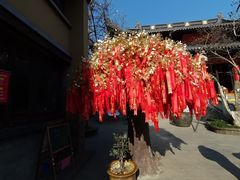 -灵谷景区