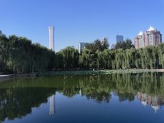 -团结湖公园