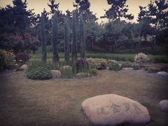 -荆川公园