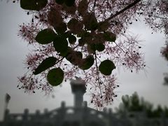 -永定河休闲森林公园