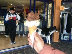 -Dooley's Premium Ice Cream