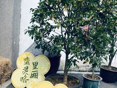 -苏州市吴中区光福窑上花果蜜饯厂