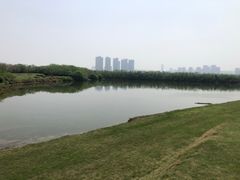 -盘龙城国家考古遗址公园