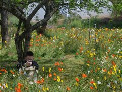 -名花谷生态庄园