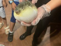 -肆月河豚·新淮扬(金融街店)