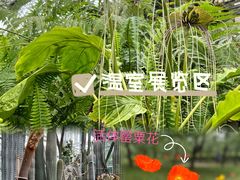 -国家植物园南园