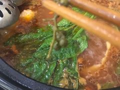 -蜀皇·菌汤鲜黄牛肉汤锅(宽窄巷子店)