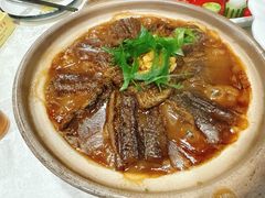-丁老爷子苏香圆