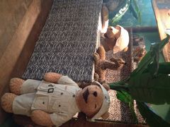 iphone_upload_pic-济州岛泰迪熊博物馆