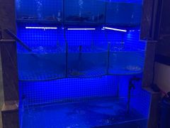 -乡味土菜馆(姑孰镇东营社区卫生服务站东南)