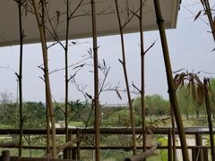 -燕郊植物园