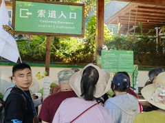 -野象谷景区