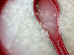 -光明刘冰乳鸽店(光明法政北路店)