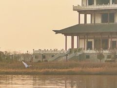 -卤阳湖国家湿地公园