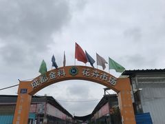 -金科花卉市场