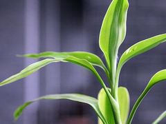 -松声马术俱乐部