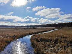 -塞罕坝国家级自然保护区