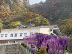 -尧山风景区