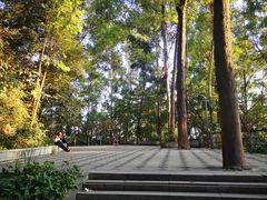 -南岗山公园