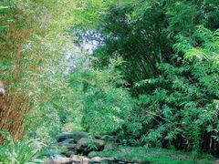 -火炉山森林公园