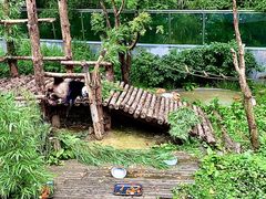 -黔灵山公园
