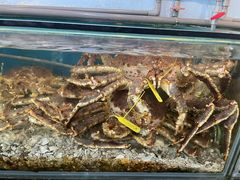 -海九澎湖海鲜餐厅